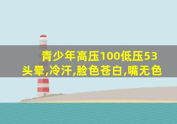 青少年高压100低压53 头晕,冷汗,脸色苍白,嘴无色